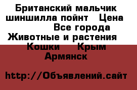Британский мальчик шиншилла-пойнт › Цена ­ 5 000 - Все города Животные и растения » Кошки   . Крым,Армянск